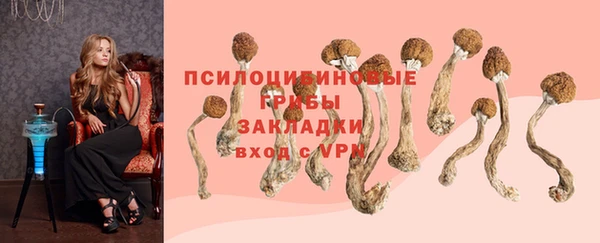 соль курить ск Новодвинск